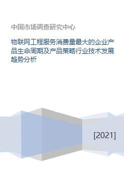 物聯(lián)網(wǎng)工程服務(wù)消費量最大的企業(yè)產(chǎn)品生命周期及產(chǎn)品策略行業(yè)技術(shù)發(fā)展趨勢分析